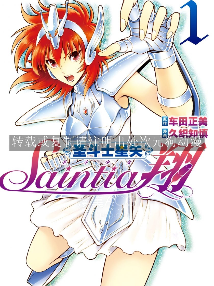 圣斗士星矢 圣斗少女翔_943812