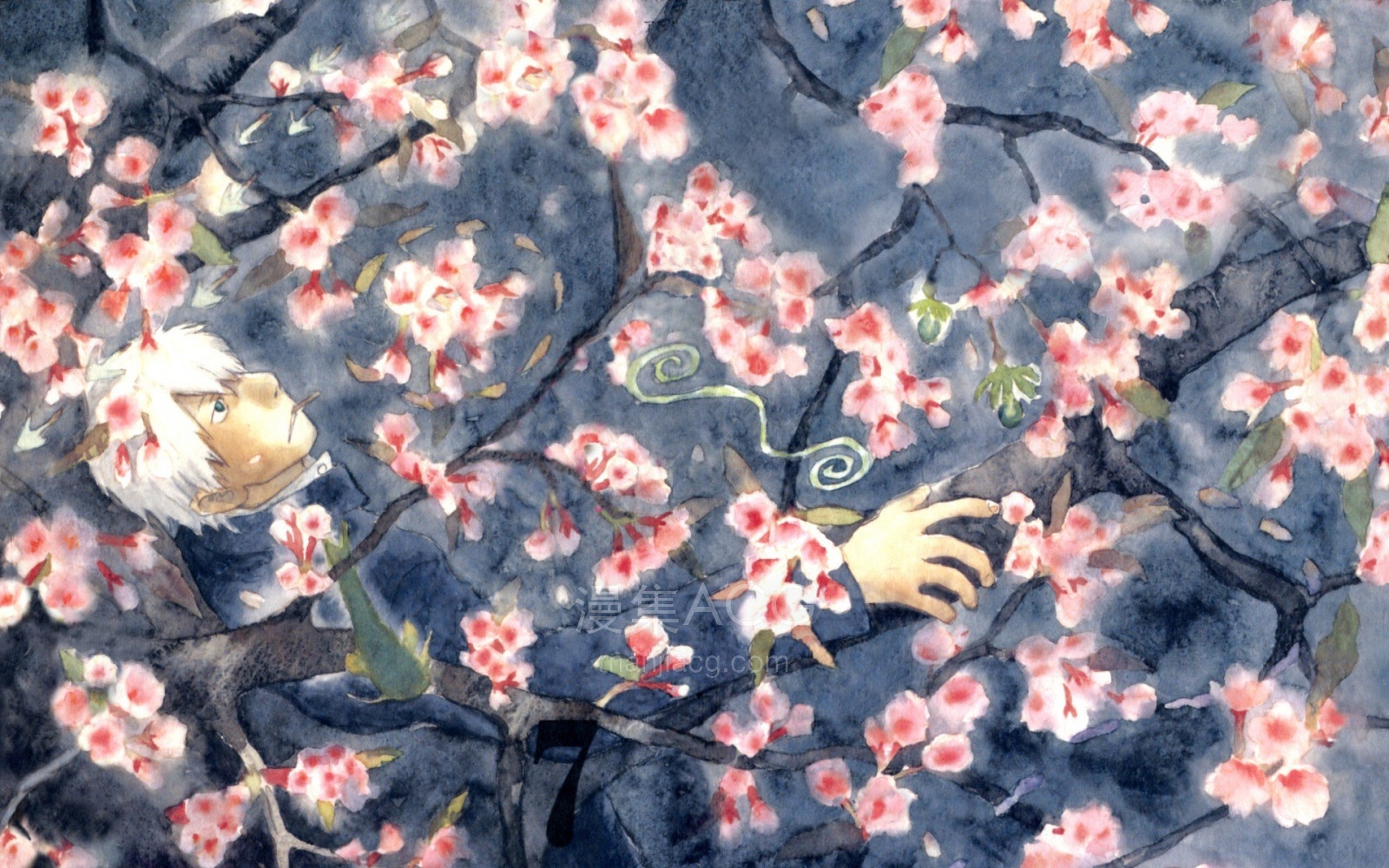《虫师》系列【阿里云盘】