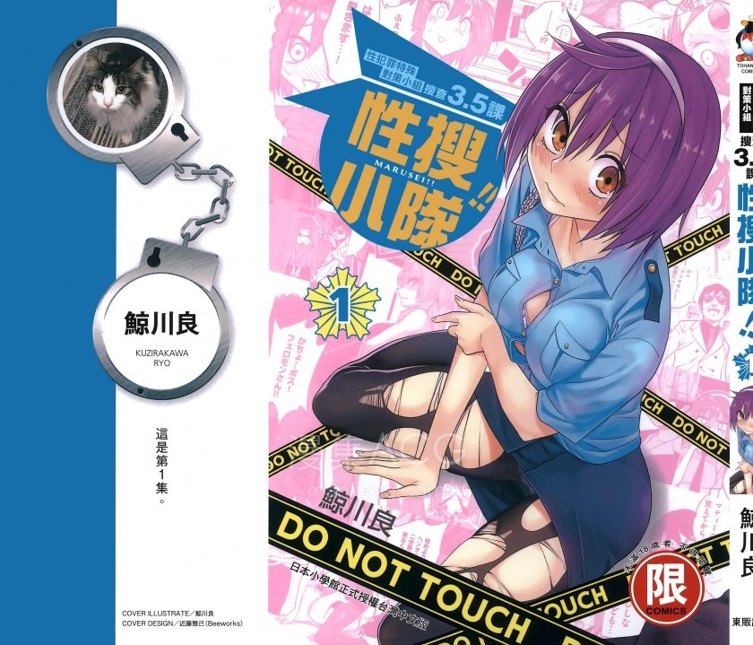 性犯罪小组