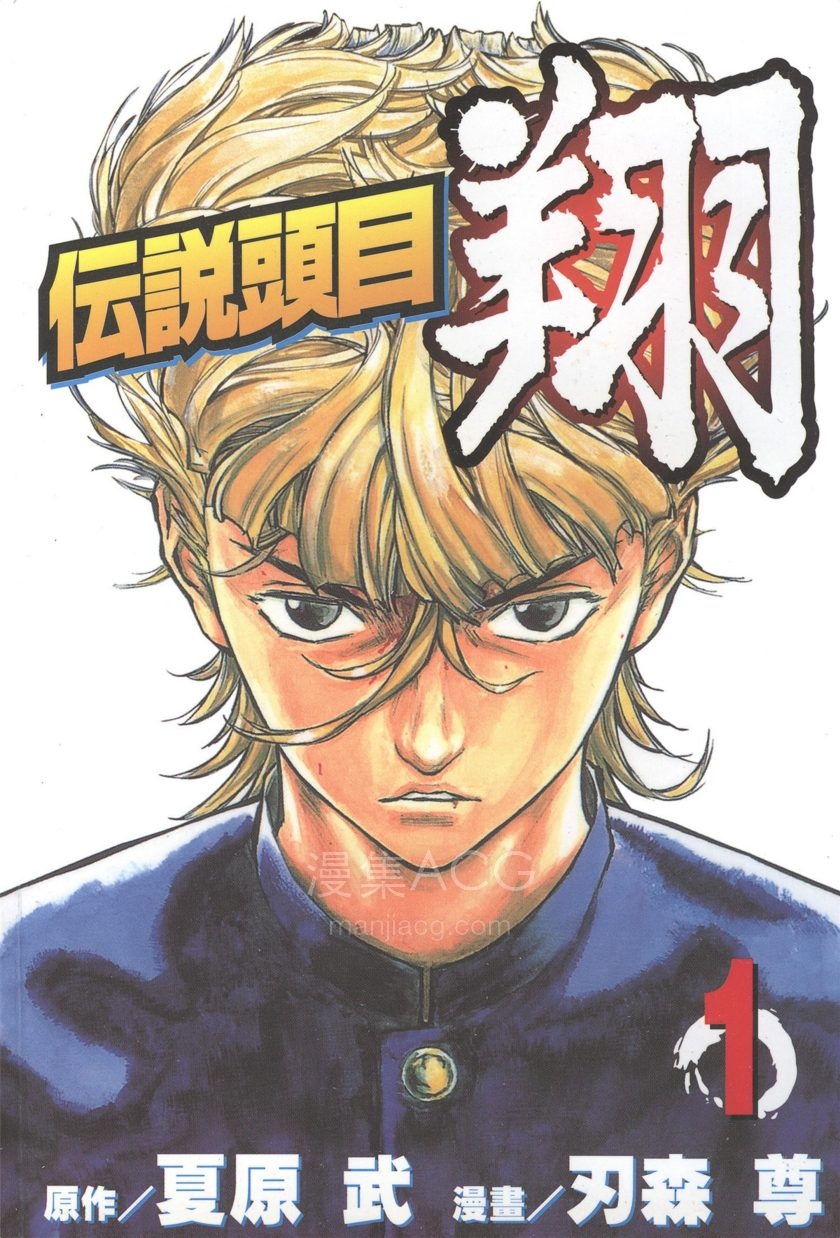 【漫画】【完结】《传说头目翔》1-11卷 PDF 夸克网盘下载