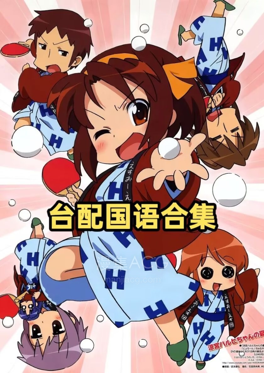 《小凉宫春日的忧郁》国语 全25话整合版 百度/夸克网盘