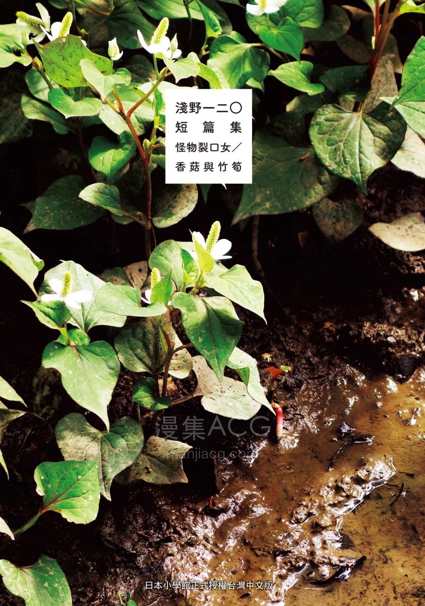 [浅野一二O]淺野一二O短篇集：怪物裂口女／香菇與竹筍_全1卷[1完]