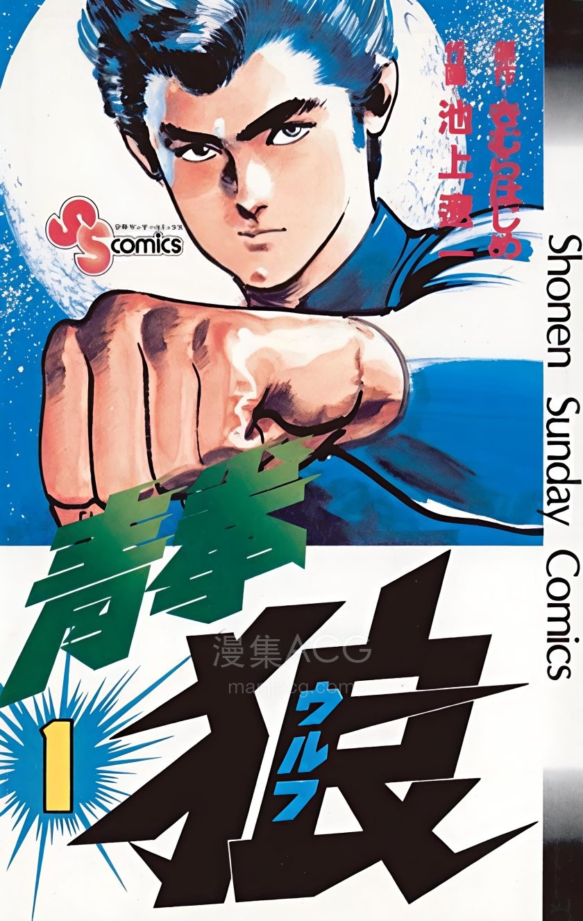 【漫画】【完结】《青拳狼》1-3卷 PDF 夸克网盘下载