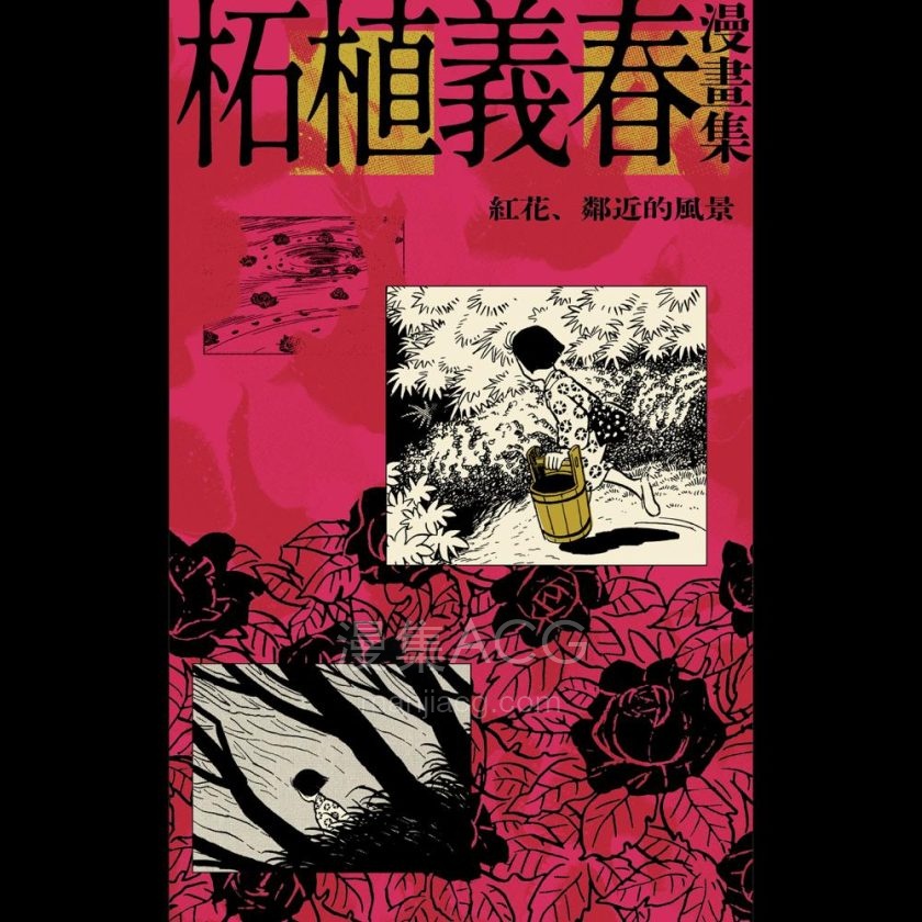 【漫画】【完结】《红花、邻近的风景 ai彩漫》1卷 PNG 夸克网盘下载
