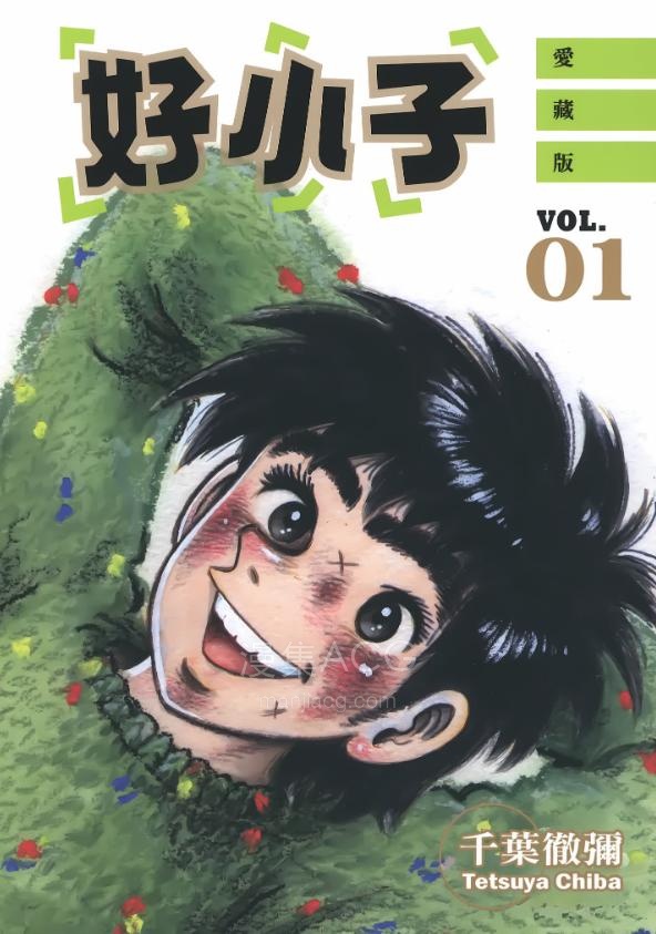 【漫画】【完结】《好小子》超清PDF 百度网盘下载