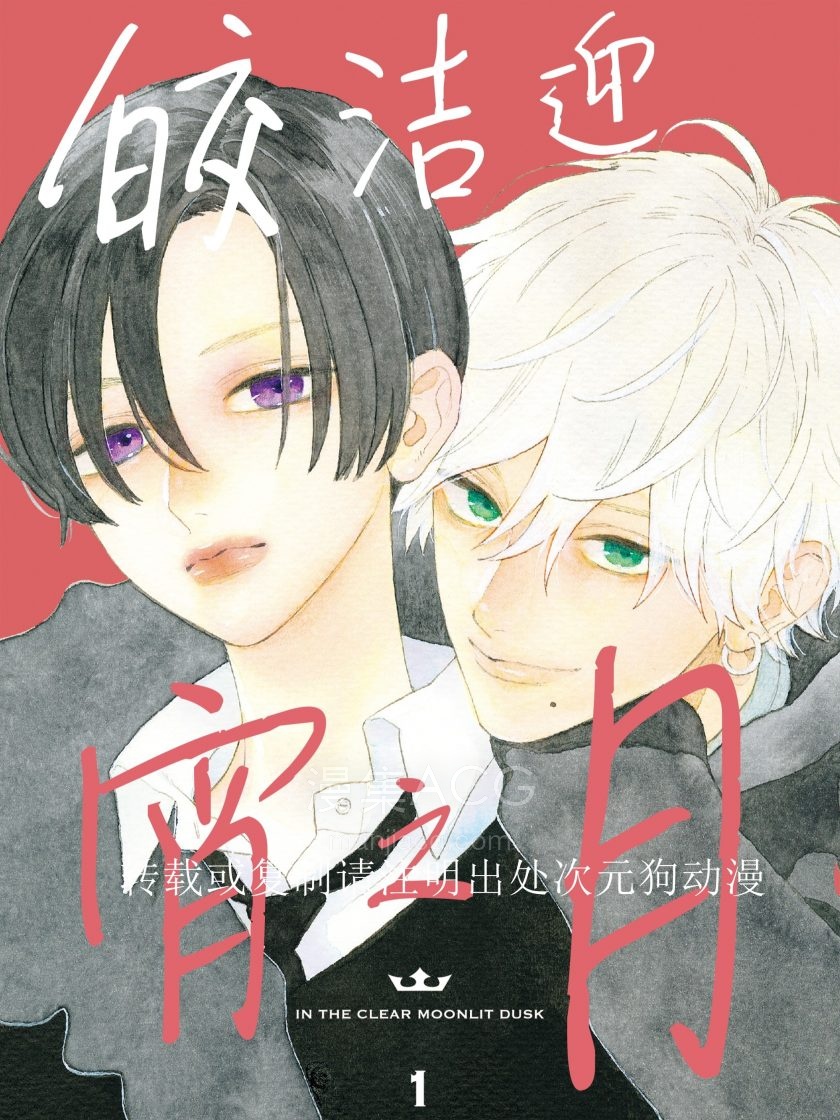 皎洁迎宵之月_892459