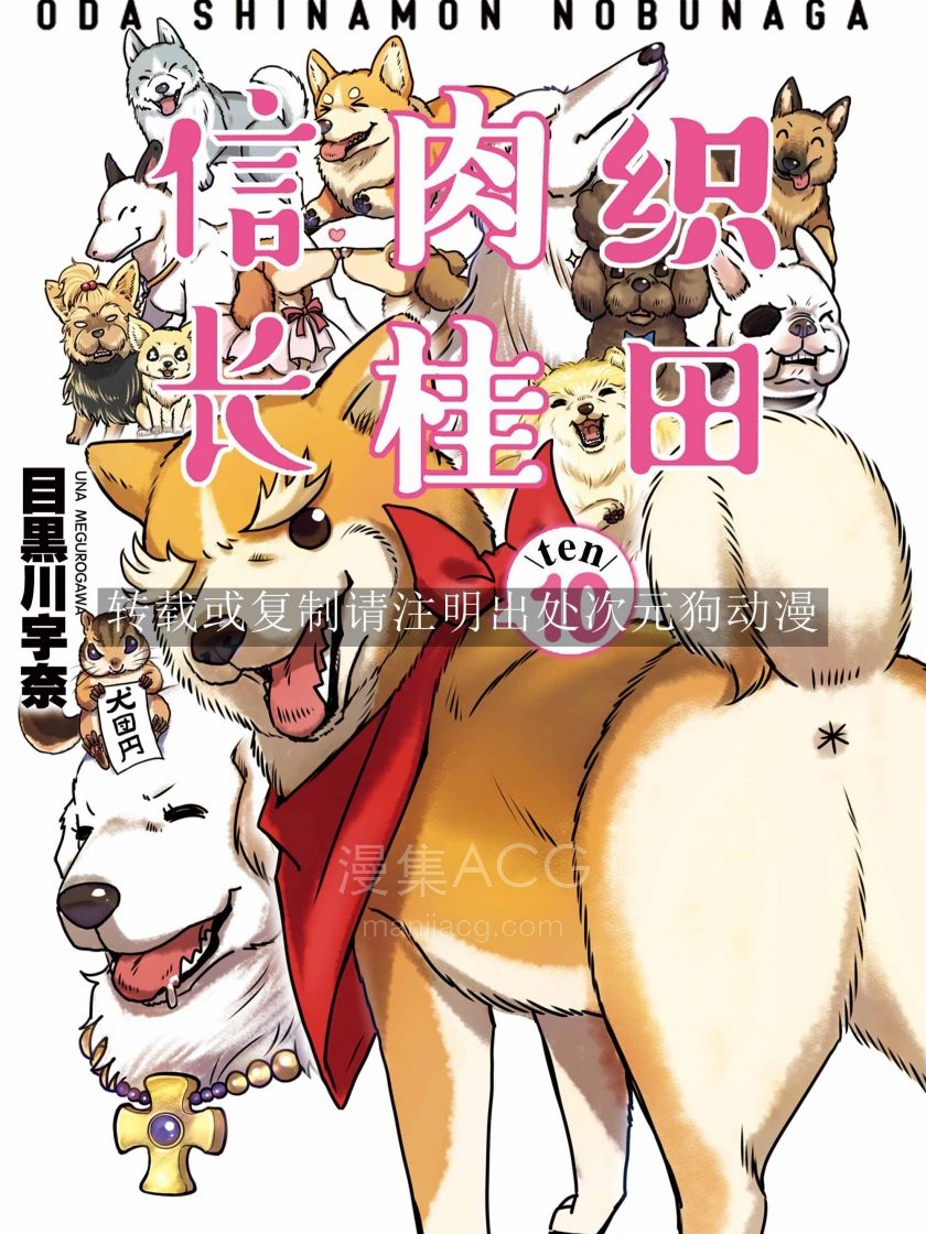 织田肉桂信长_204805