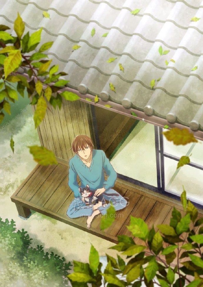 【PV】 铲屎官的日常《同居人时而在腿上 时而跑到脑袋上》正式PV公开 2019年一月播出