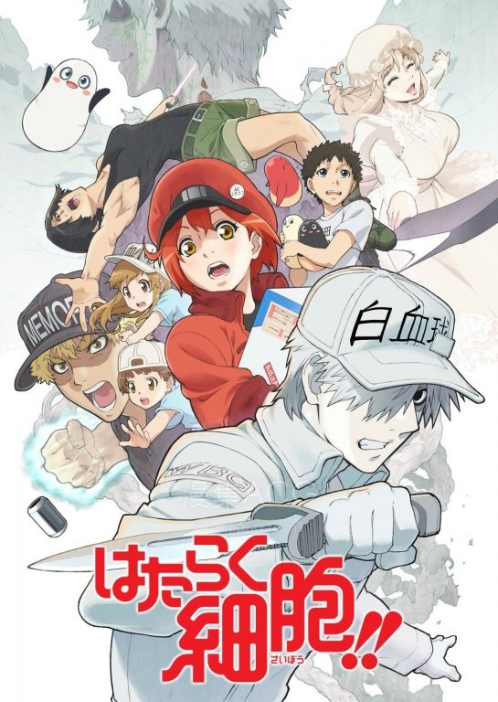 《工作细胞》国语版 S1-S2全集 夸克/百度下载