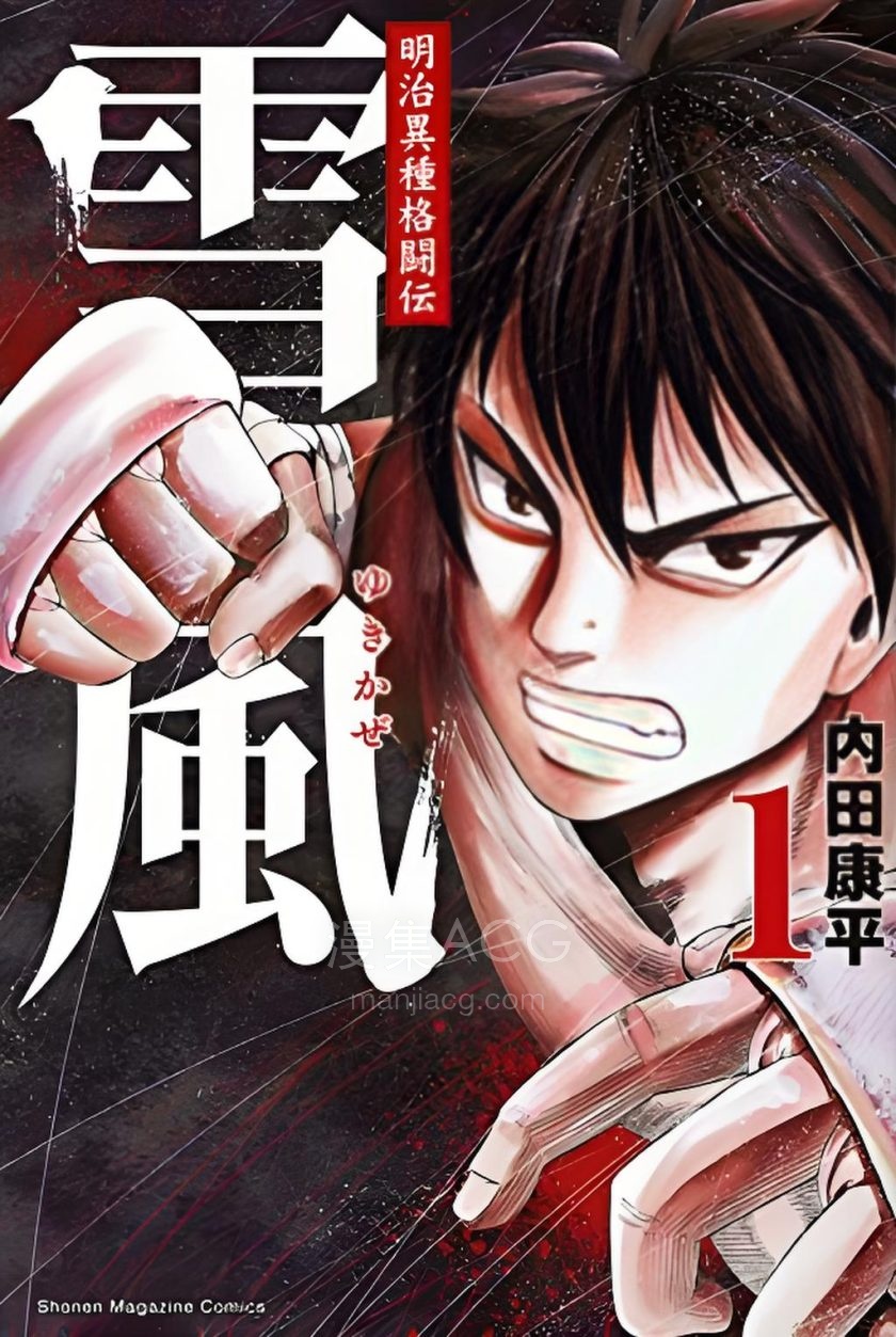 【漫画】【完结】《明治异种格斗传雪风》1-4卷 JPG/PDF 夸克网盘下载