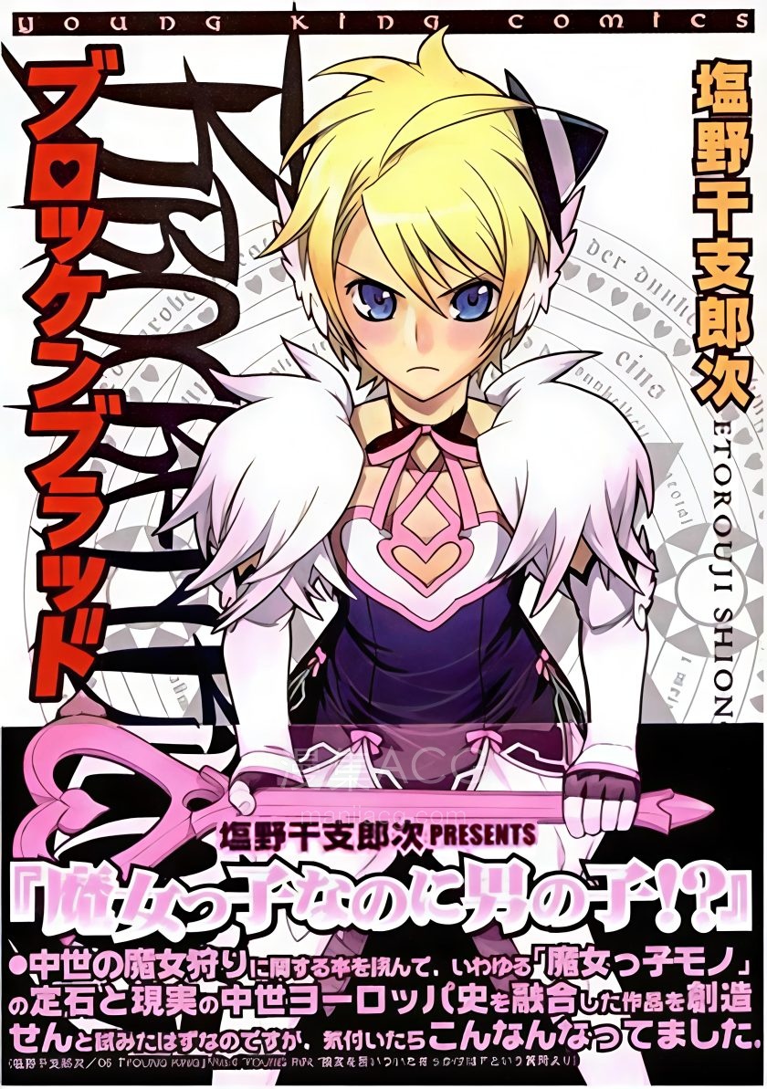 【漫画】【完结】《女装魔法少年》1-9卷 PDF 夸克网盘下载