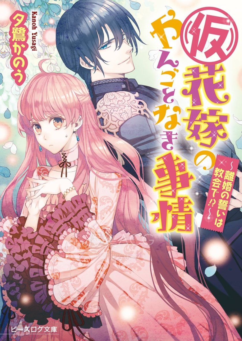 【轻小说】《替身新娘的贵族生活》1-13卷 EPUB 夸克网盘下载