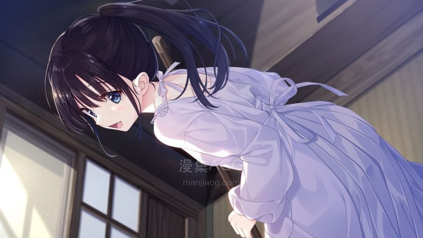 【GalGame】【PC】《乡间痴情哥哥和病弱妹妹》百度网盘下载