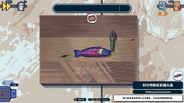 深海刮刮乐_5