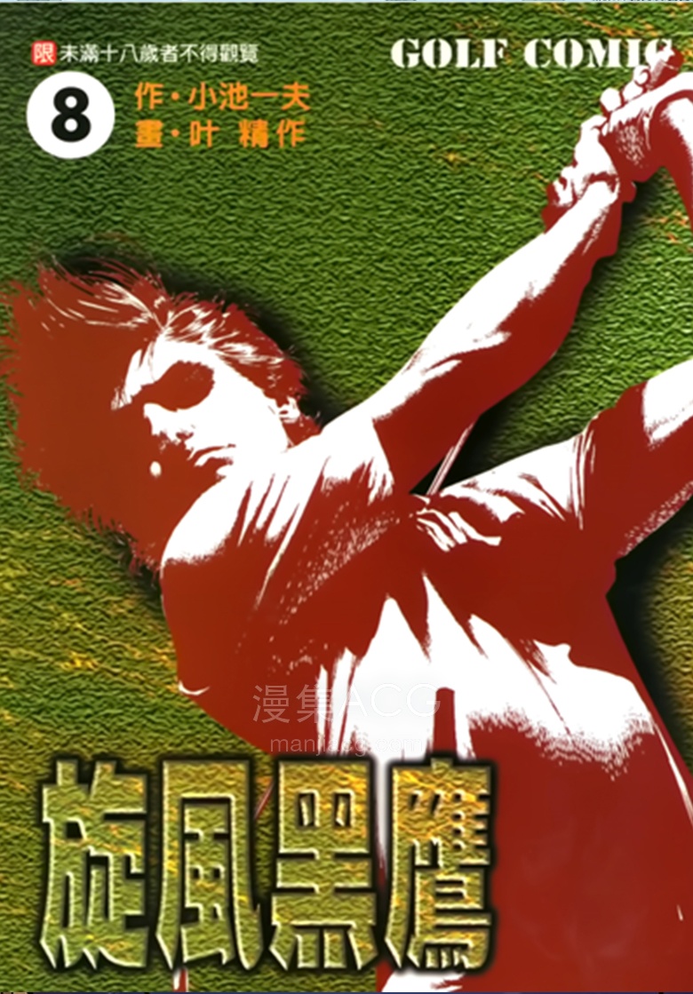【漫画】【完结】《旋风黑鹰》1-8卷 PDF 夸克网盘下载