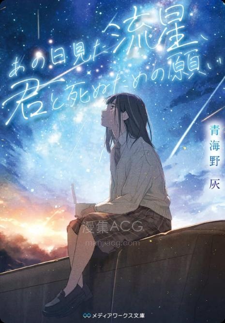 【轻小说】【完结】《那天所见的流星，为与你一同死去的祈愿》全一卷 EPUB 夸克网盘下载